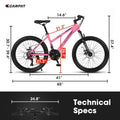 POWANLI 26" Mountain Bike for Women, 21 Speeds Mountain Bicycles with Dual Disc Brakes and 100mm Front Suspension, Pink(Gift)
