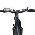 Electric Bike with 750W Motor, Electric Bike for Adults, Electric Mountain Bicycle with 48V 14.5ah Battery, 26'' Fat Tires, LCD Display, Front and Rear LED Lights, Professional 7 - Speed Gears