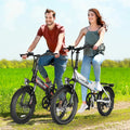 Gocio Foldable Electric Bike for Adults, Peak 750W Electric Mountain Bicycles, 20" * 2.4" Fat Tire Electric Bicycle, 375wh 48V Removable Lithium - Ion Battery, Urban Commuter Ebike Man Woman UL2849