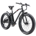 Electric Bike with 750W Motor, Electric Bike for Adults, Electric Mountain Bicycle with 48V 14.5ah Battery, 26'' Fat Tires, LCD Display, Front and Rear LED Lights, Professional 7 - Speed Gears