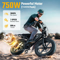 TST Electric Bike for Adults, 750W Peak 1500W Motor, 20"x4" Fat Tire, E Mountain Bike, 48V/15AH UL2849