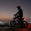 Ridstar Electric Biycle for Adults, 1200W 32MPH, 48V 20AH Electric Dirt Bike, 20" Fat Tire 7 Speed Mountain Bike UL2849